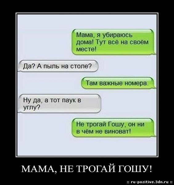 А гоша в курсе кто кого анекдот видео